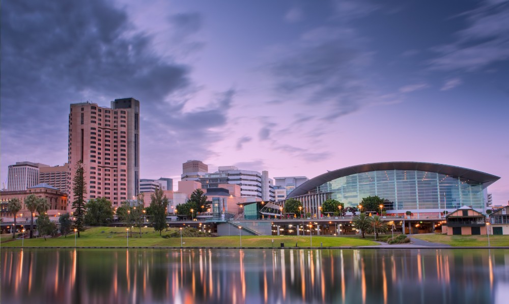 Pet sitting, dog sitting, cat sitting and house sitting in Adelaide