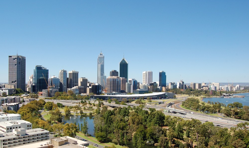 Dog sitting in Perth - Perth city skyline