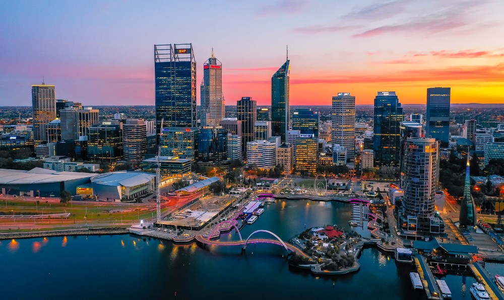 Pet sitting, dog sitting, cat sitting and house sitting in Perth