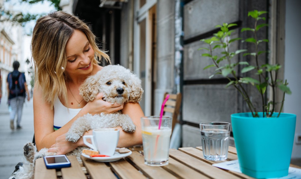 Pet sitting, dog sitting, cat sitting and House Sitting in Brisbane